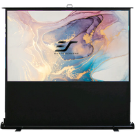 Occasion - Condition : Comme neuf //EZ CINEMA - MaxWhite / 16:9 / 100" (222x125 cm)// B-F100NWH-254H00037