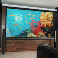 D'occasion - Très bon état // SAKER PREMIUM - MaxWhite FG / 16:9 / 120" (266 x 149 - chute supérieure 50 cm) // B-SK120XHW-E20 - 245H01259